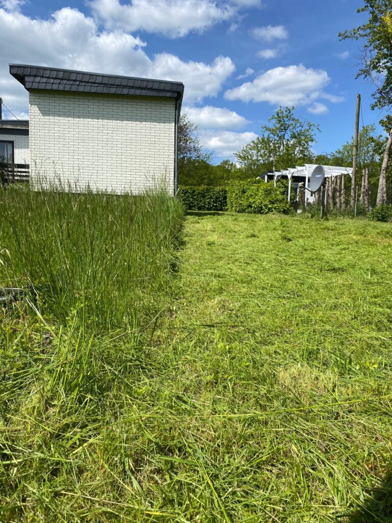 WhatsApp Image 2026-02-15 at 12.02.23