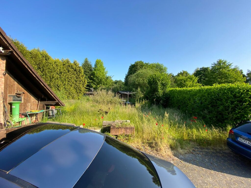 WhatsApp Image 2026-02-15 at 12.02.26