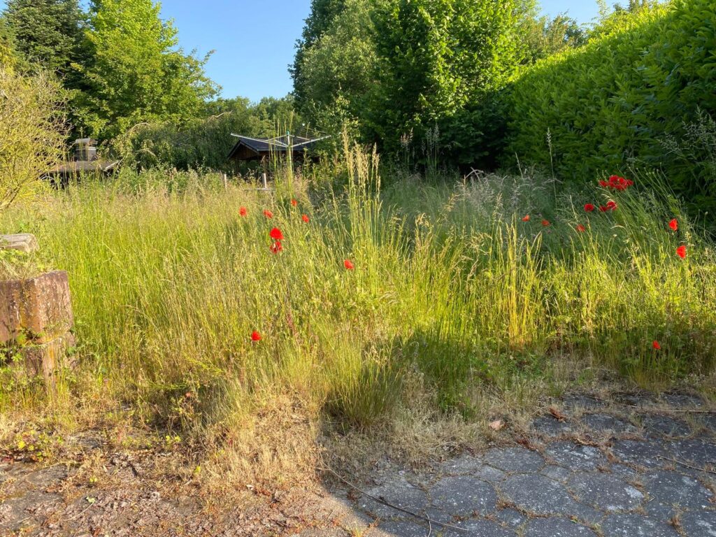 WhatsApp Image 2026-02-15 at 12.02.27