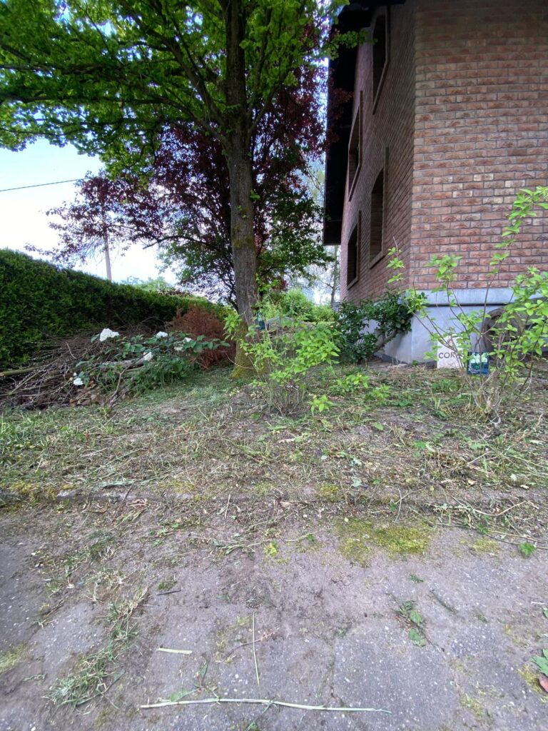 WhatsApp Image 2026-02-15 at 12.02.29