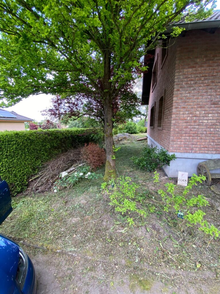 WhatsApp Image 2026-02-15 at 12.02.30