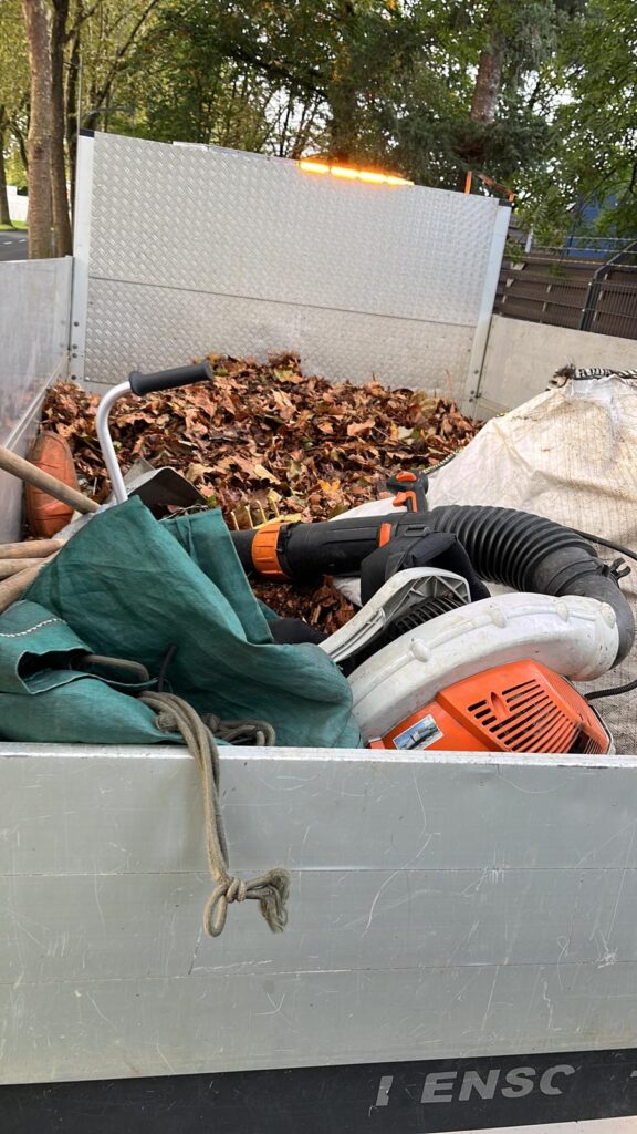 WhatsApp Image 2026-02-15 at 12.02.36 (1)