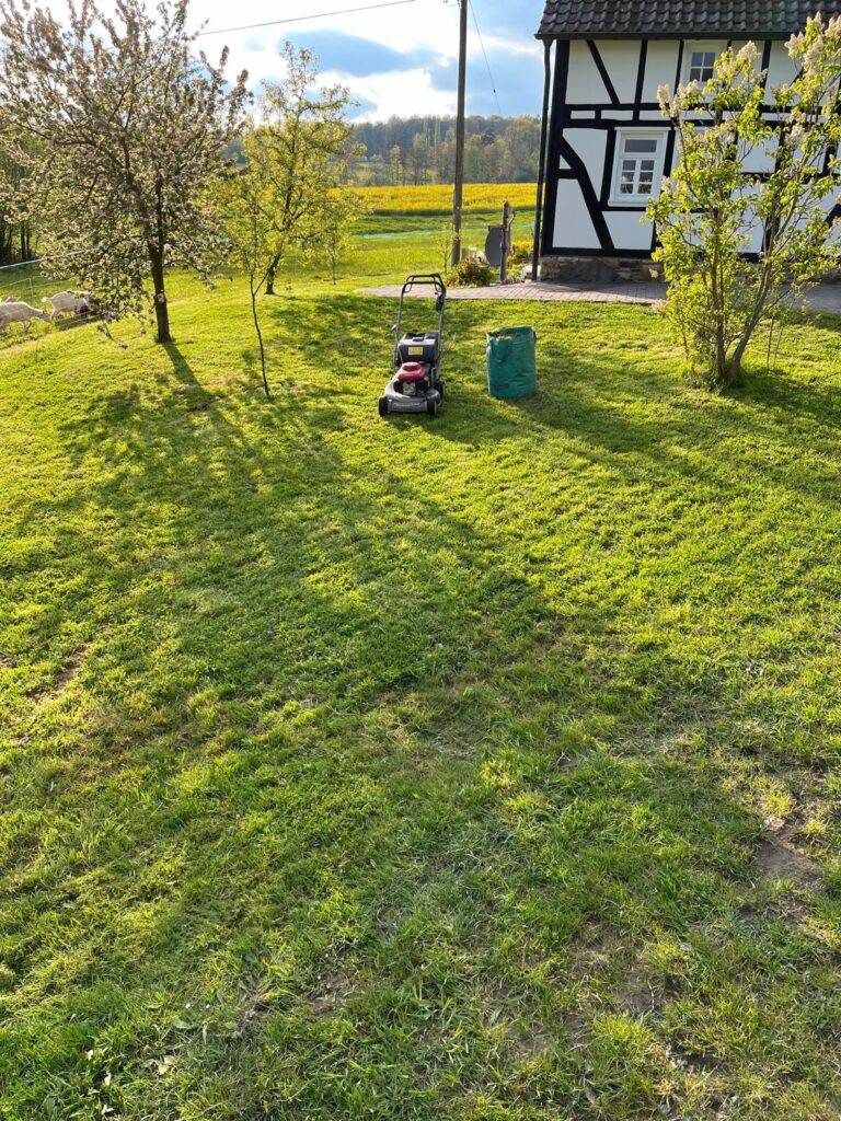 WhatsApp Image 2026-02-15 at 12.02.36