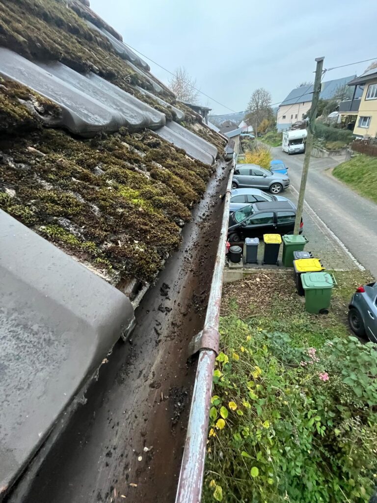 WhatsApp Image 2026-02-15 at 12.02.37 (2)