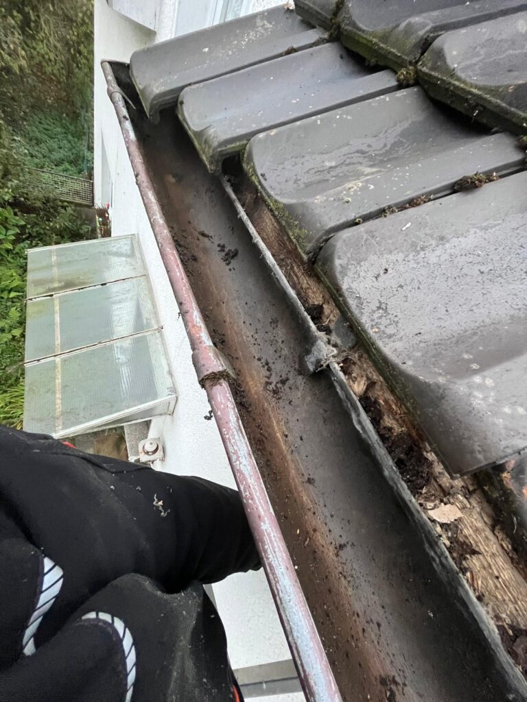 WhatsApp Image 2026-02-15 at 12.02.37 (3)