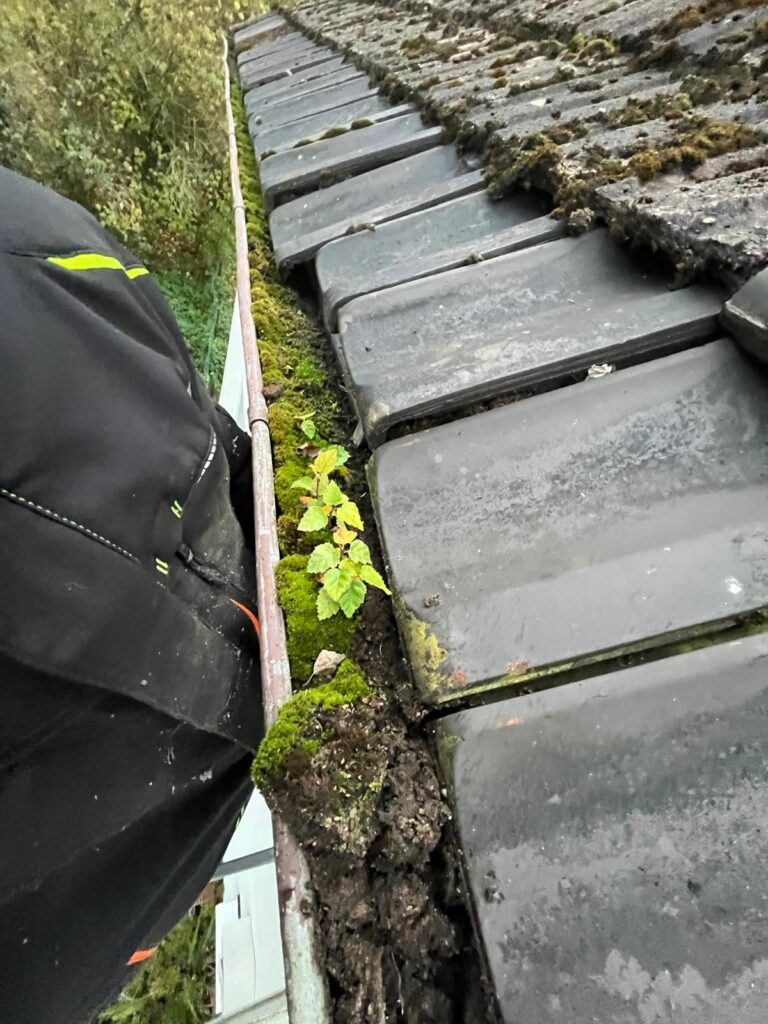 WhatsApp Image 2026-02-15 at 12.02.37 (4)