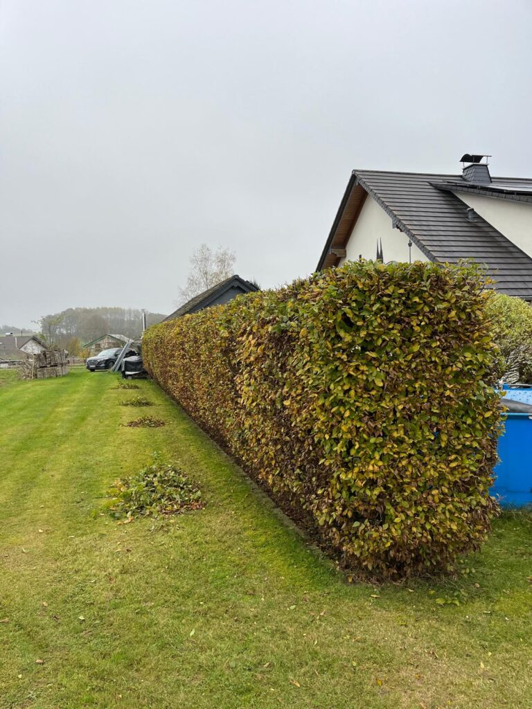 WhatsApp Image 2026-02-15 at 12.02.37 (6)