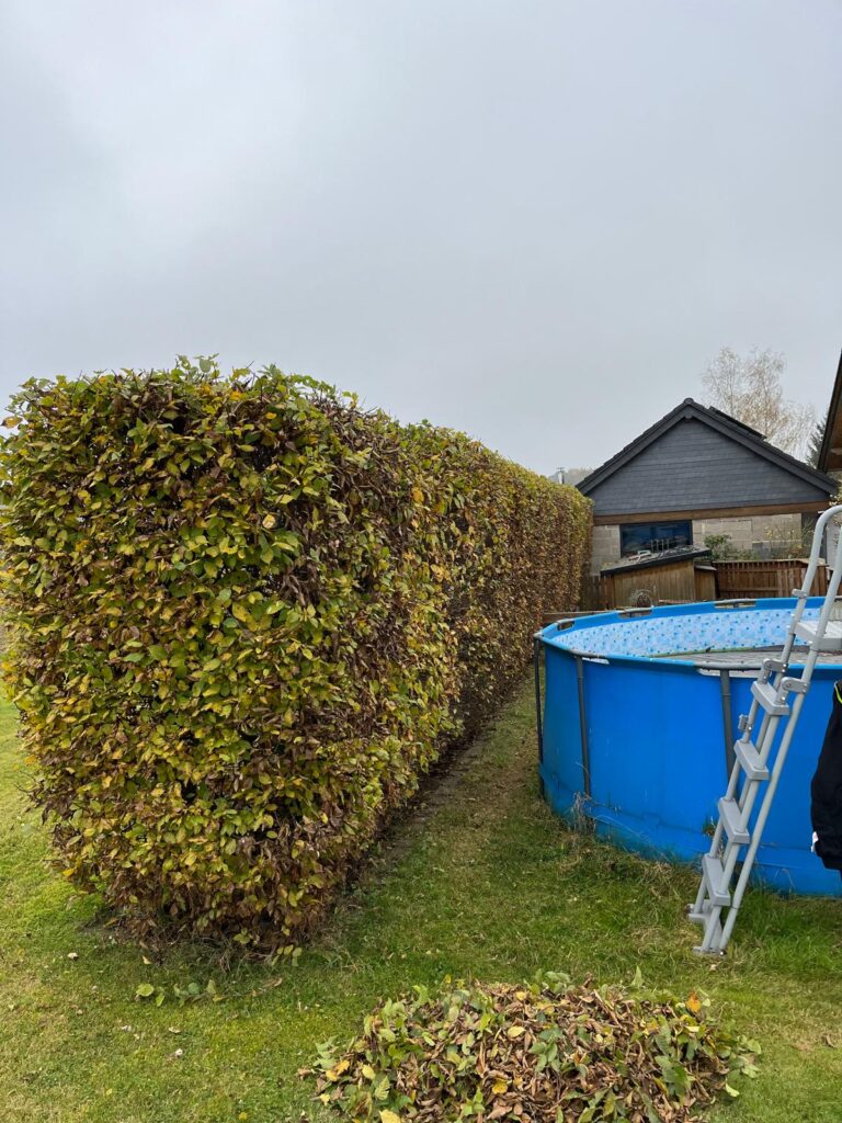 WhatsApp Image 2026-02-15 at 12.02.37 (7)