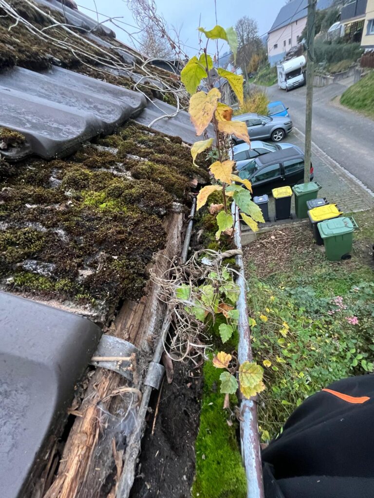 WhatsApp Image 2026-02-15 at 12.02.37