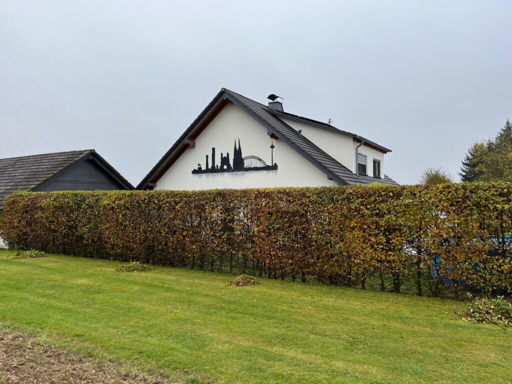 WhatsApp Image 2026-02-15 at 12.02.37 (8)