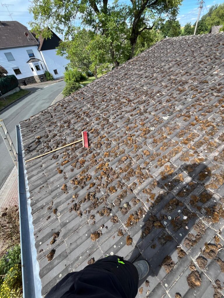 WhatsApp Image 2026-02-15 at 12.02.38 (1)