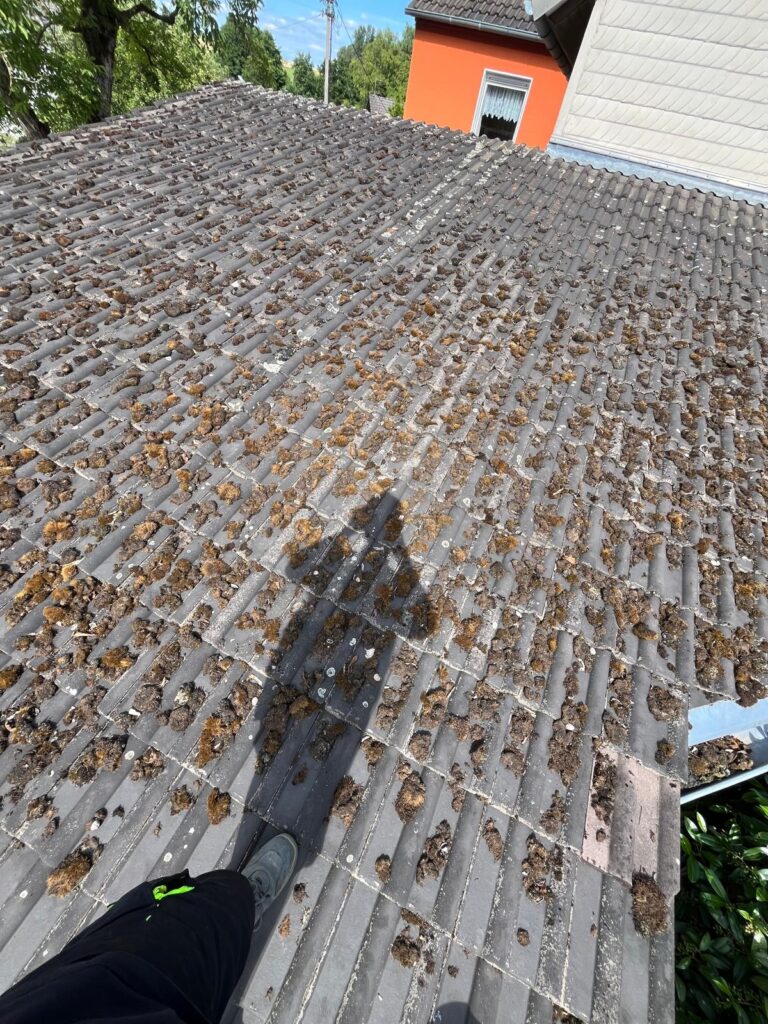 WhatsApp Image 2026-02-15 at 12.02.38