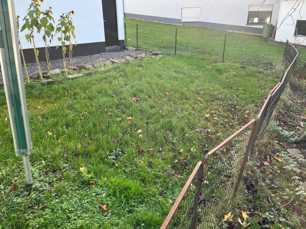 WhatsApp Image 2026-02-15 at 12.02.39