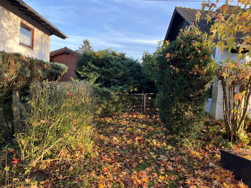 WhatsApp Image 2026-02-15 at 12.02.39 (6)