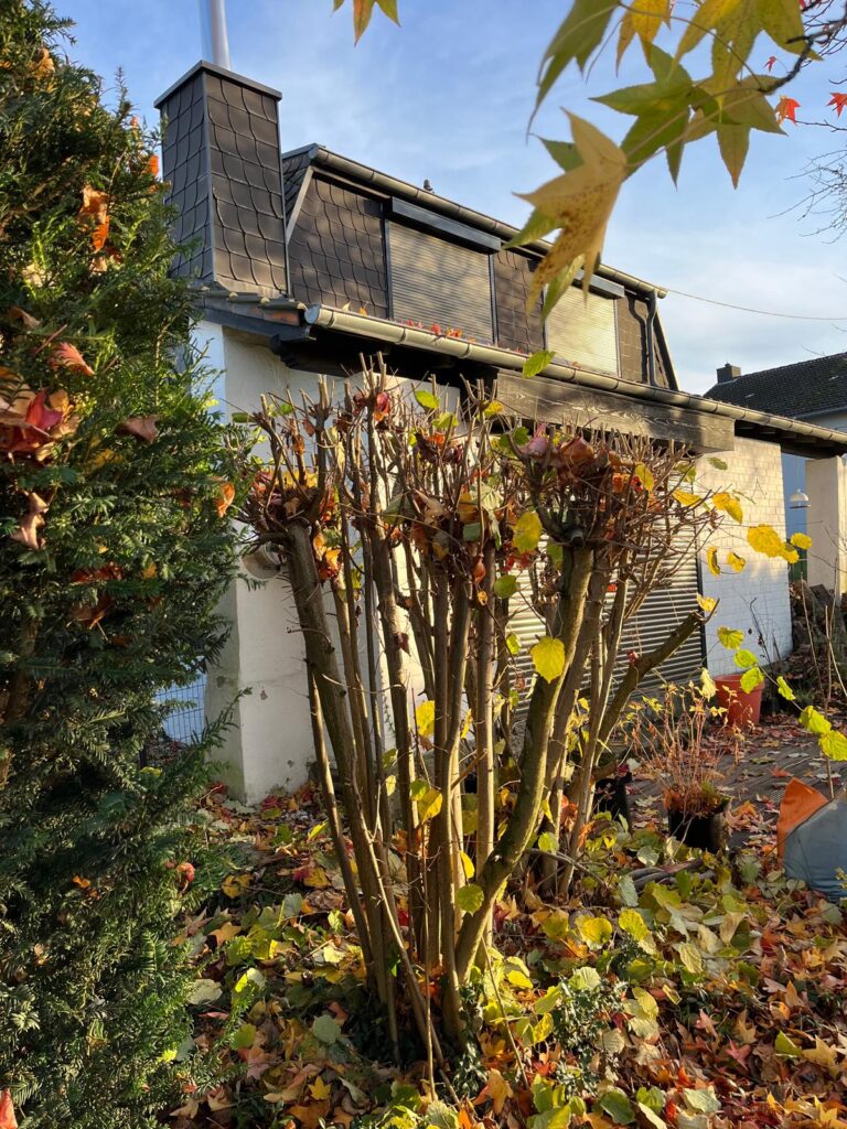 WhatsApp Image 2026-02-15 at 12.02.39 (7)