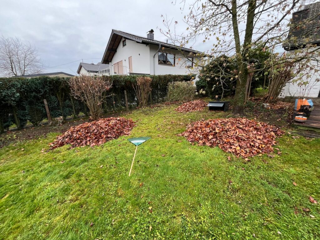 WhatsApp Image 2026-02-15 at 12.02.39 (9)