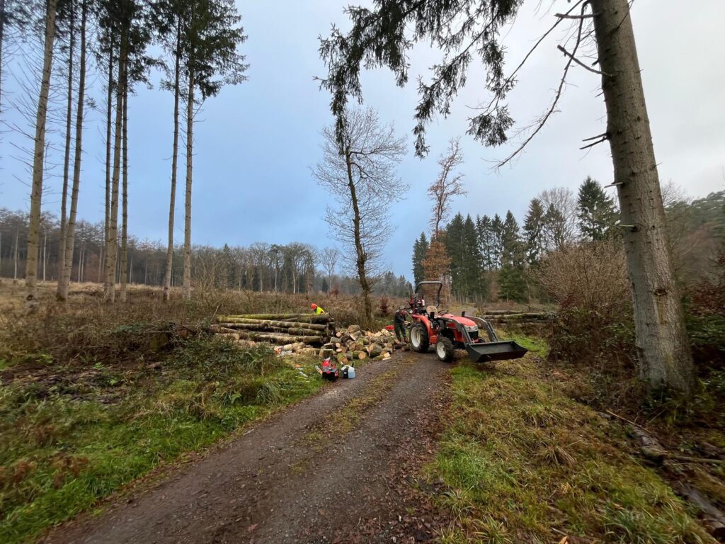 WhatsApp Image 2026-02-15 at 12.02.40 (1)